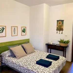 Palmeras Сasa de vacaciones