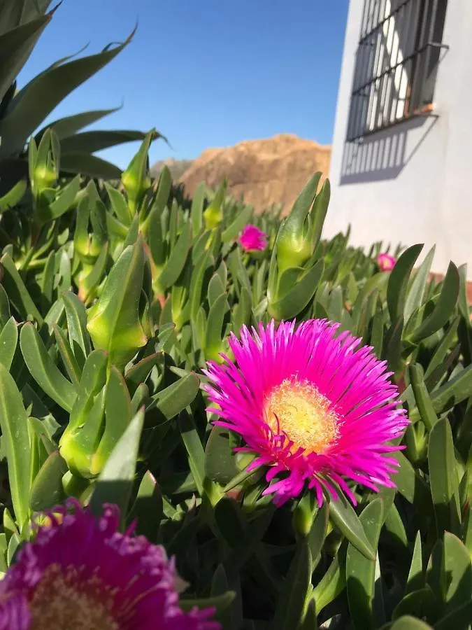 Holiday home Casa Siri By Rosas Cantares Pizarra Spain
