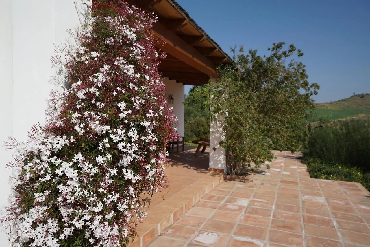 Casa Siri By Rosas Cantares Pizarra